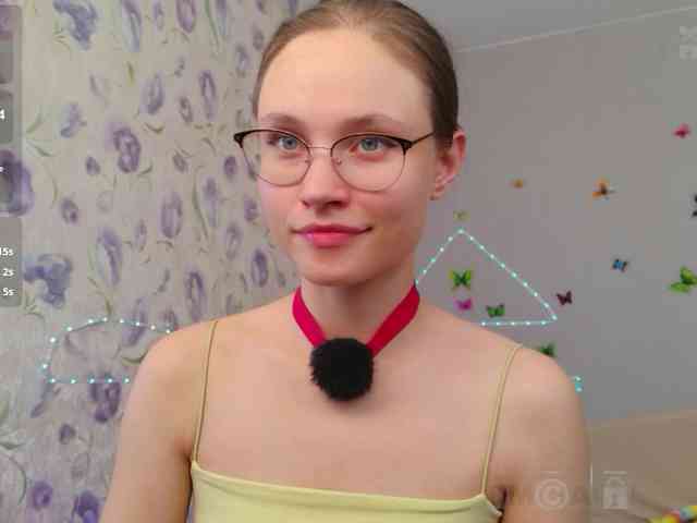 Armura webcam