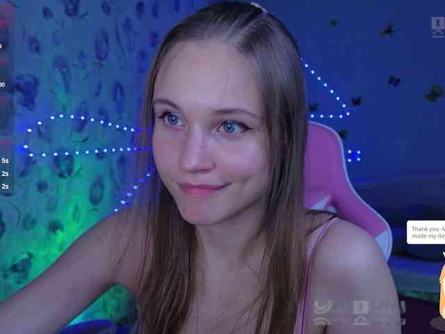 Armura webcam