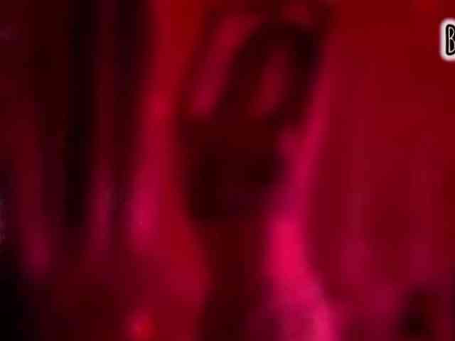 Armura webcam