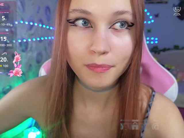Armura webcam