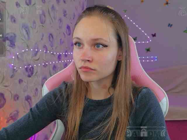 Armura webcam