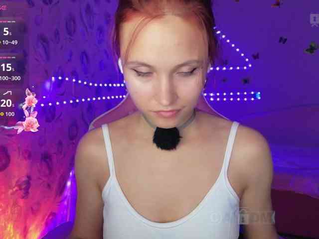 Armura webcam