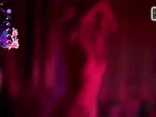 Armura webcam