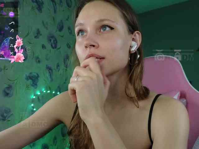 Armura webcam