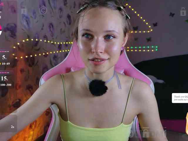 Armura webcam