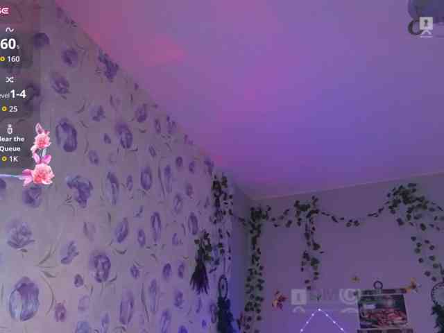 Armura webcam