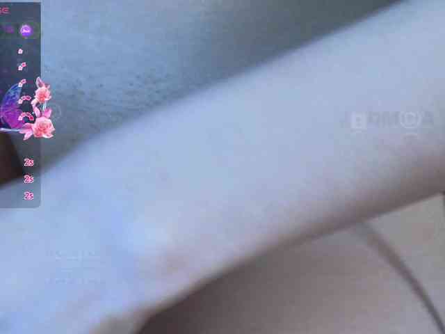 Armura webcam