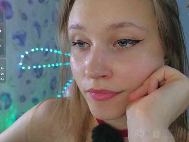 Armura webcam