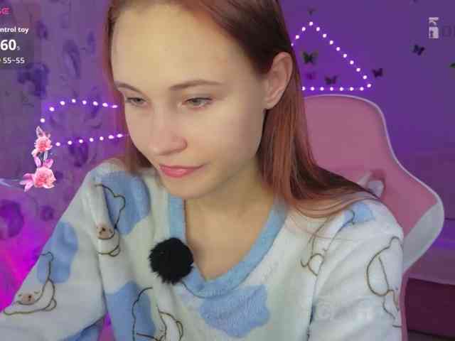 Armura webcam