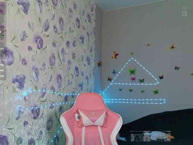 Armura webcam