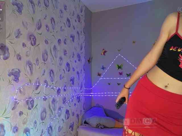 Armura webcam