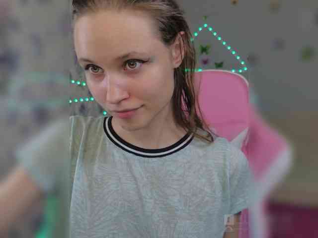 Armura webcam