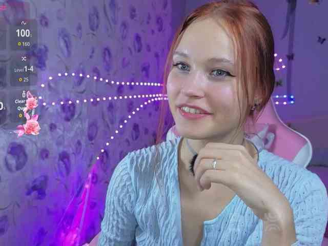 Armura webcam