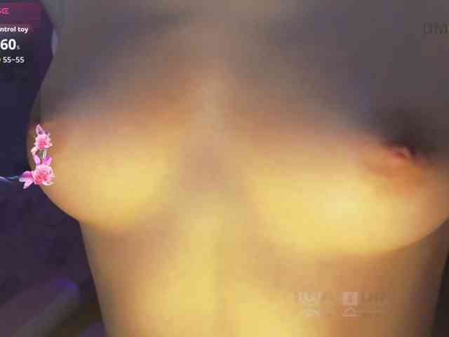 Armura webcam