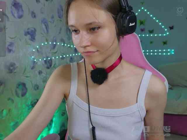 Armura webcam
