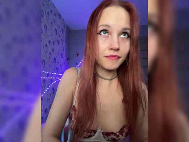 Armura webcam