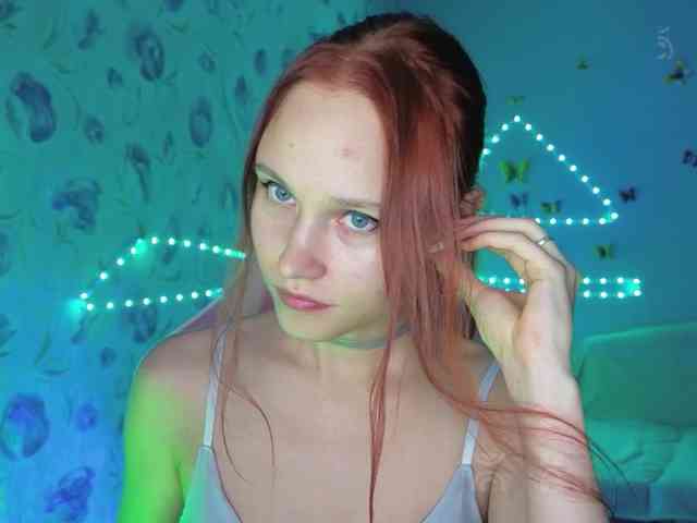 Armura webcam
