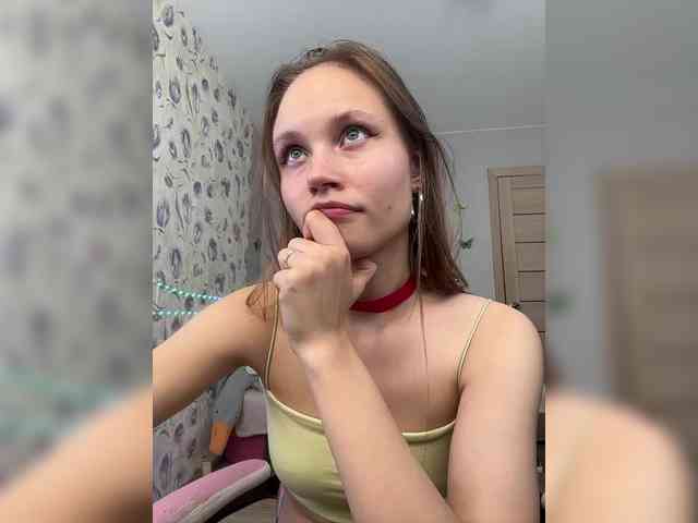 Armura webcam