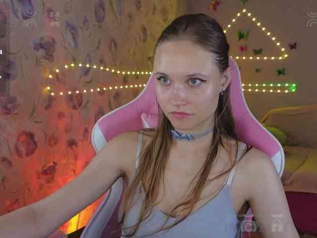 Armura webcam