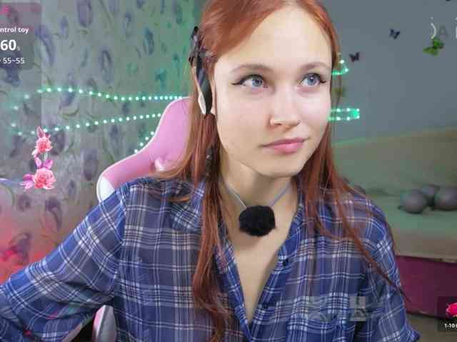 Armura webcam