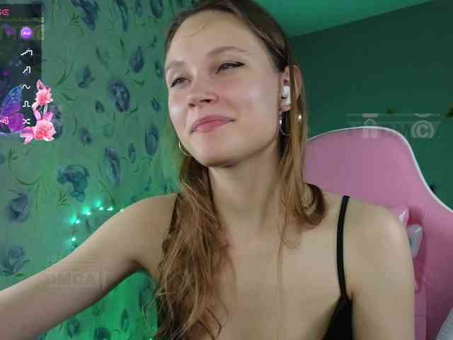Armura webcam