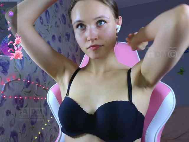 Armura webcam