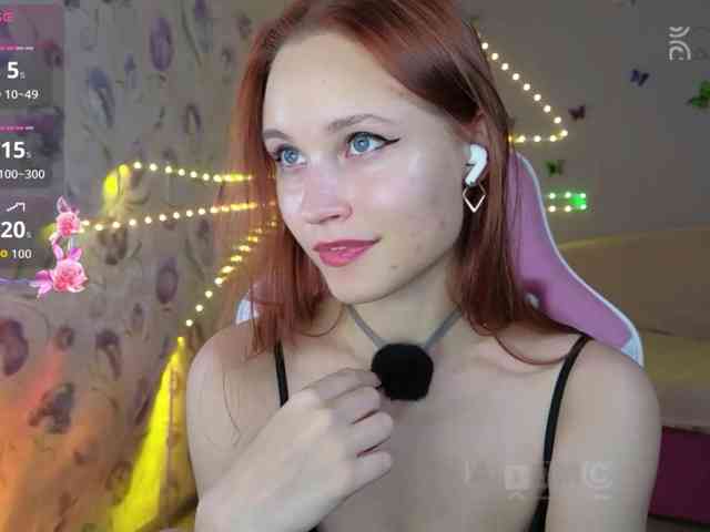 Armura webcam