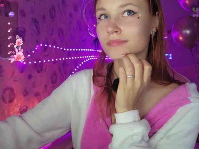 Armura webcam