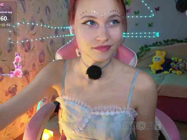 Armura webcam