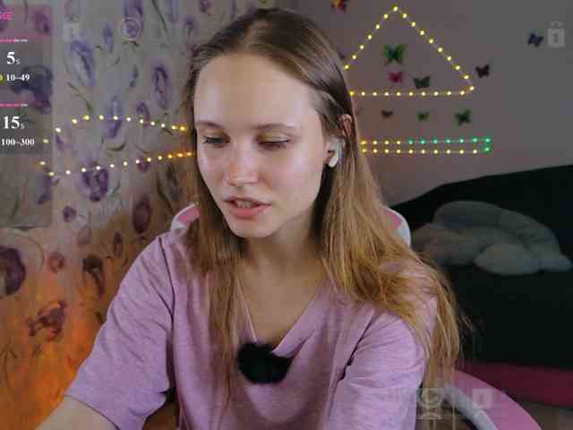 Armura webcam