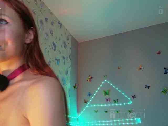 Armura webcam