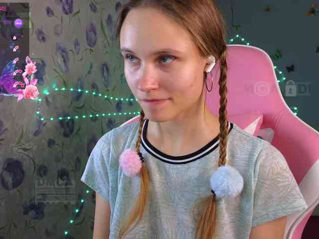 Armura webcam