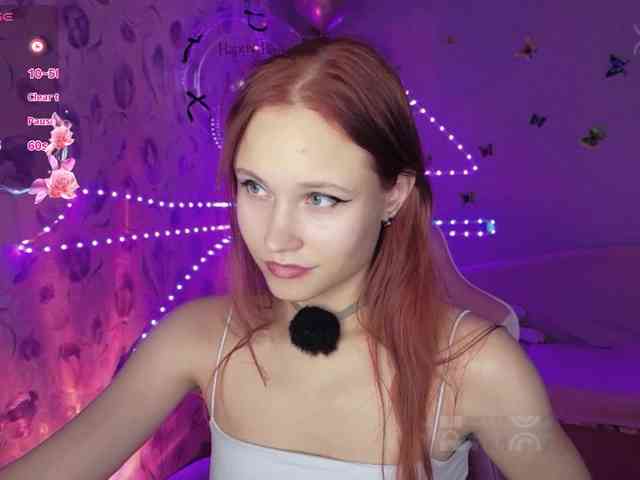 Armura webcam