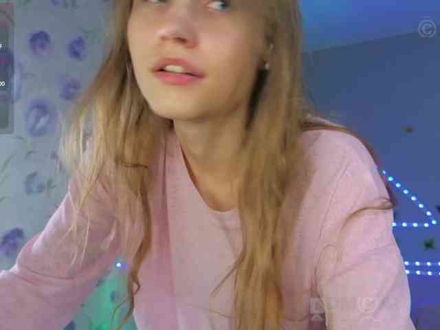 Armura webcam