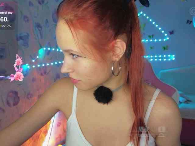 Armura webcam