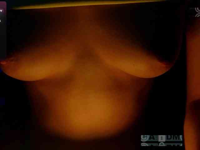 Armura webcam