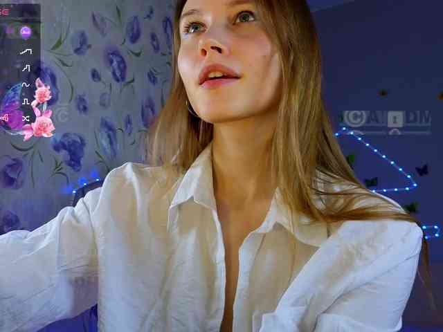 Armura webcam