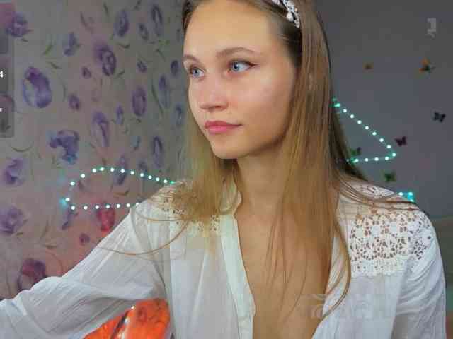 Armura webcam