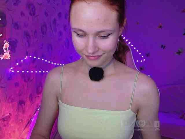 Armura webcam