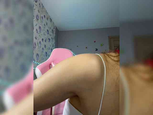 Armura webcam