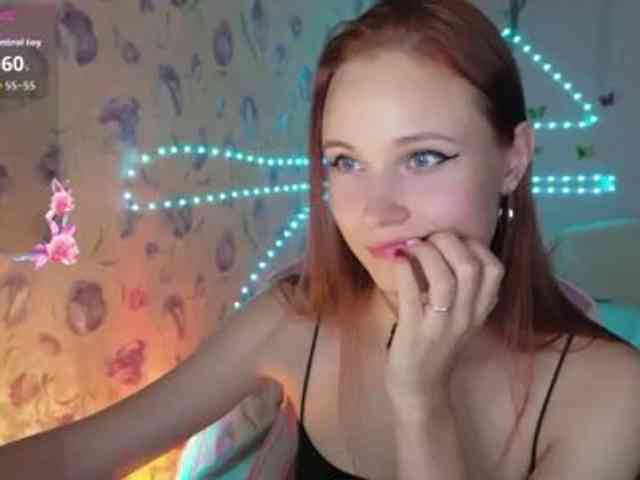 Armura webcam