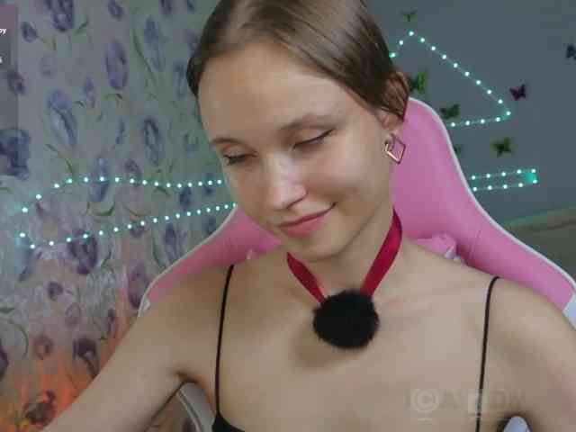 Armura webcam