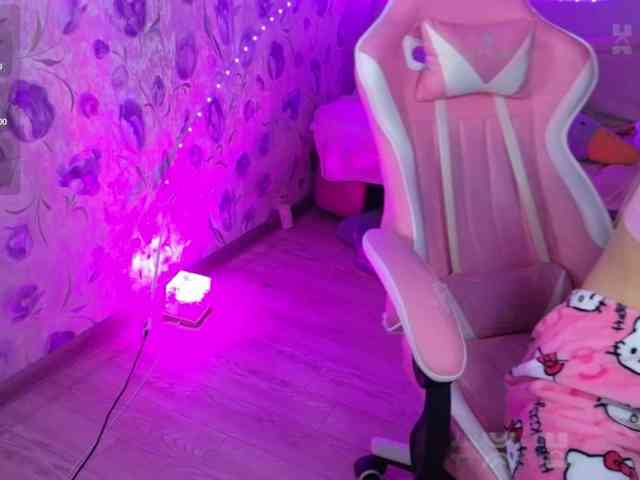 Armura webcam