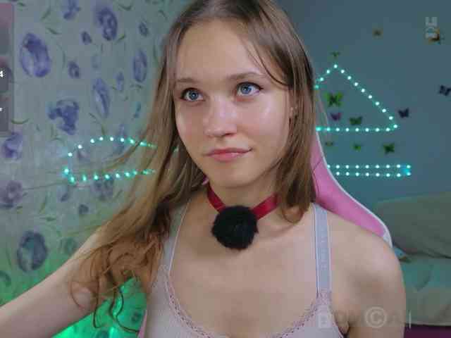 Armura webcam