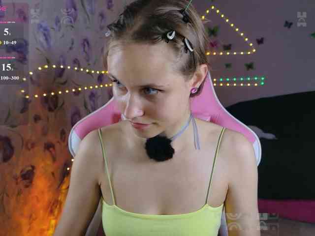 Armura webcam