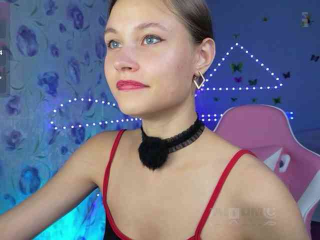 Armura webcam