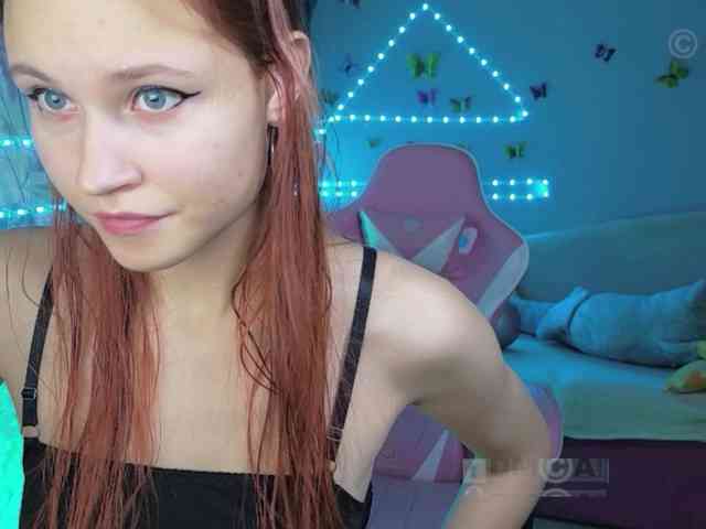 Armura webcam