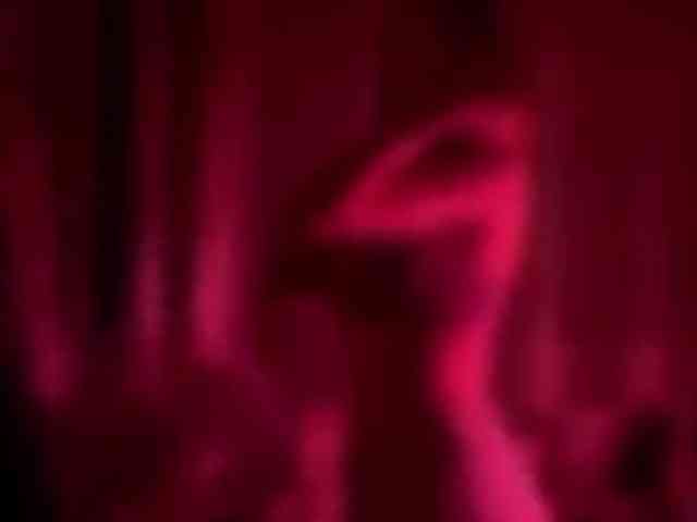 Armura webcam