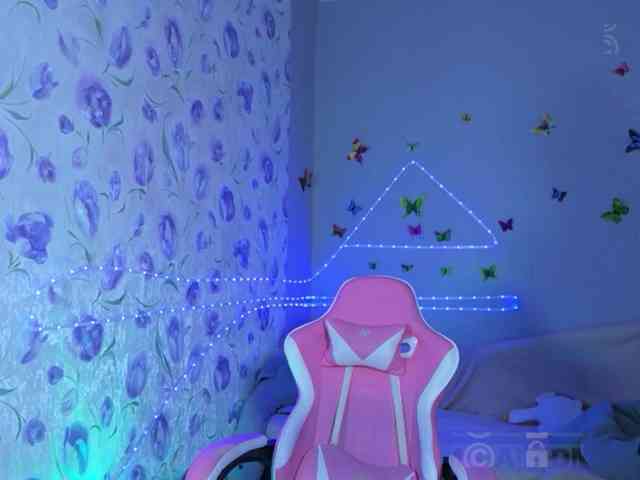 Armura webcam