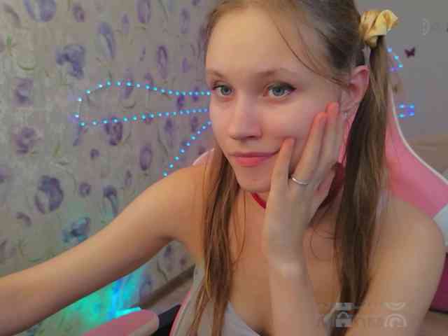 Armura webcam